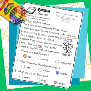 second-grade-no-prep-may-review-images5