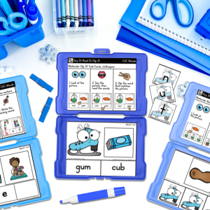 winter cvc task cards